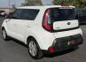 2016 Clear White /Black Kia Soul 5dr Wgn Man Base (KNDJN2A28G7) , 6-Speed Manual transmission, located at 4110 Avenue Q, Lubbock, 79412, 33.556553, -101.855820- Photo#2