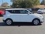 2021 Snow White Pearl - SWP /Black/Gray - GDM Kia Soul LX (KNDJ23AU4M7) with an 2L I-4 DOHC, D-CVVT variable valve control, regular unleaded, engine with 147HP engine, located at 4110 Avenue Q, Lubbock, 79412, 33.556553, -101.855820 - Photo#1