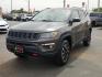 2020 GRAY /Ruby Red/Black - XC Jeep Compass Trailhawk 4x4 (3C4NJDDB8LT) with an 2.4L I-4 variable valve control, regular unleaded, engine with 180HP engine, located at 4110 Avenue Q, Lubbock, 79412, 33.556553, -101.855820 - 04/23/2026 KEY IN ENVELOPE GOD - Photo#1