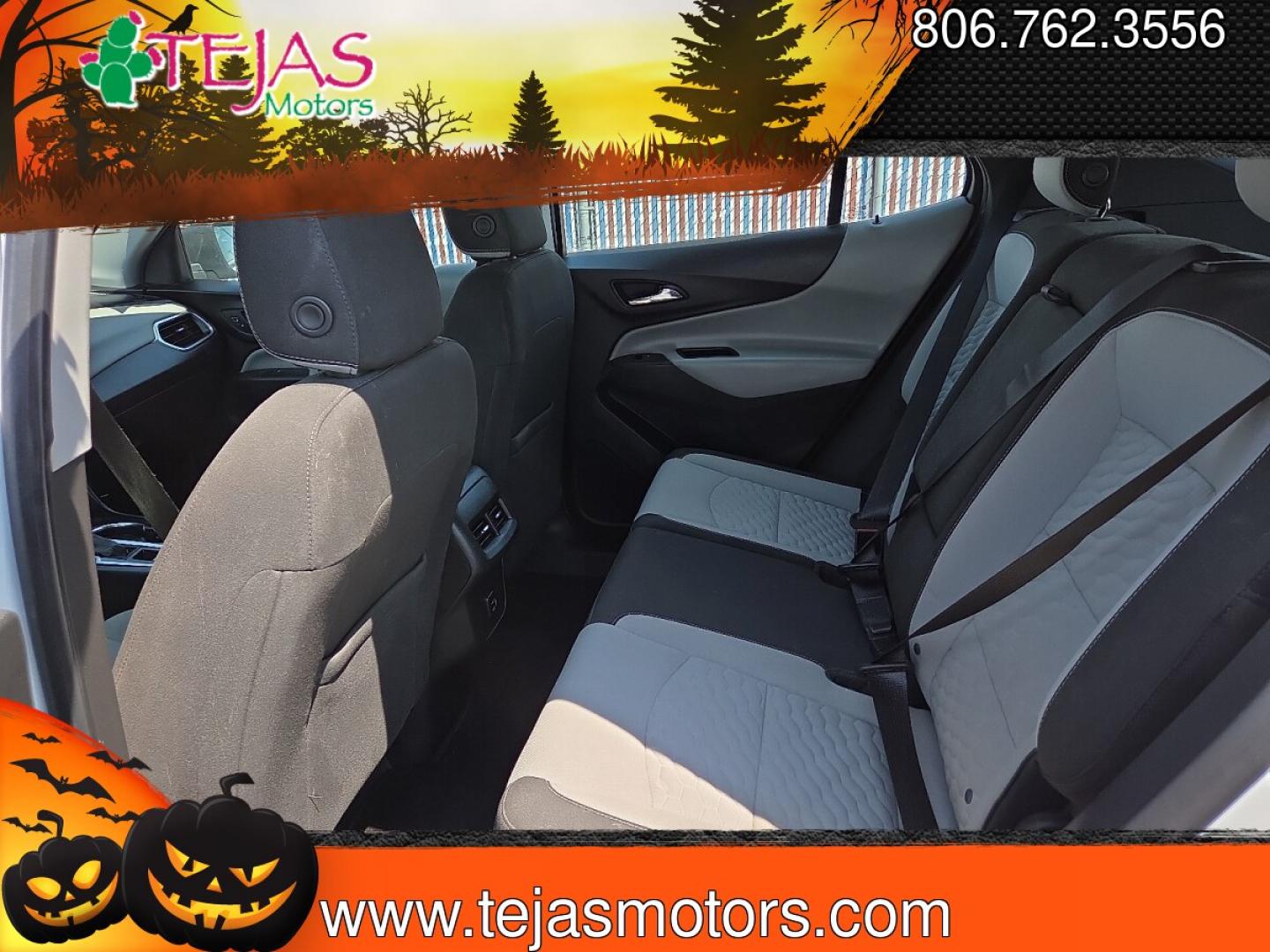 2020 Summit White - GAZ /Medium Ash Gray - H72 Chevrolet Equinox FWD LS (3GNAXHEV1LS) with an 1.5L I-4 gasoline direct injection, DOHC, VVT variable valve control, intercooled turbo, regular unleaded, engine with 170HP engine, located at 4110 Avenue Q, Lubbock, 79412, 33.556553, -101.855820- Photo#6