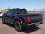 2025 Agate Black Metallic - UM /Black - RB Ford F-150 Raptor (1FTFW1RG6SF) with an EcoBoost 3.5L V-6 port/direct injection, DOHC, variable valve control, twin turbo, regular gasoline, engine with 450HP engine, located at 4110 Avenue Q, Lubbock, 79412, 33.556553, -101.855820- Photo#3