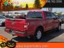 2019 Ruby Red Metallic Tinted Clearcoat - RR /Black - FB Ford F-150 XLT (1FTEW1CP6KF) with an 2.7L V6 EcoBoost Engine engine, located at 4110 Avenue Q, Lubbock, 79412, 33.556553, -101.855820 - 08/22/2026 KEY IN ENVELOPE GOD- Photo#2