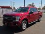 2019 Ruby Red Metallic Tinted Clearcoat - RR /Black - FB Ford F-150 XLT (1FTEW1CP6KF) with an 2.7L V6 EcoBoost Engine engine, located at 4110 Avenue Q, Lubbock, 79412, 33.556553, -101.855820 - 08/22/2026 KEY IN ENVELOPE GOD- Photo#4